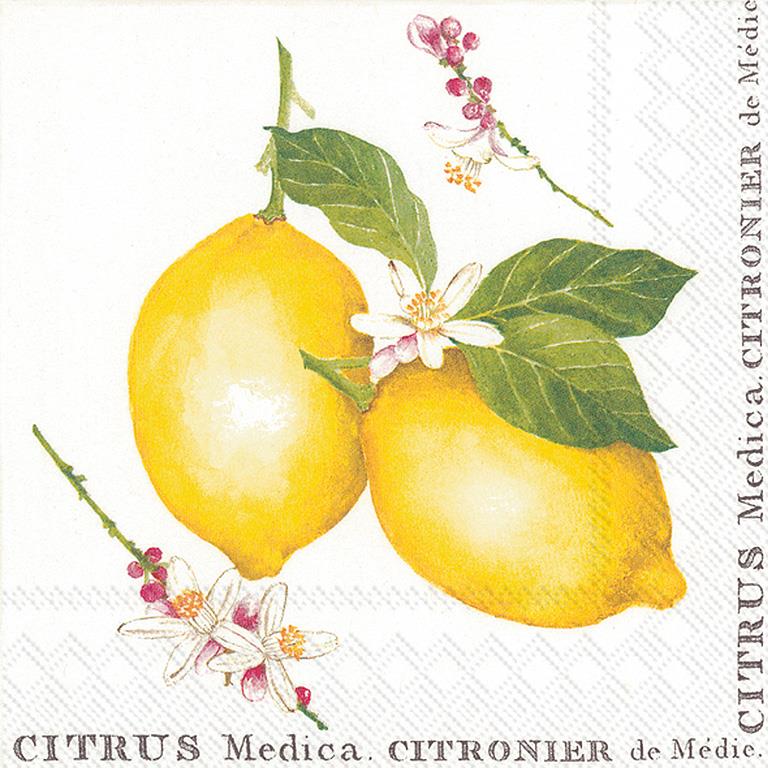 Large Lemon Citrus Napkins (20x)